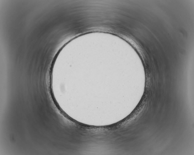 X0000111920999200909071213