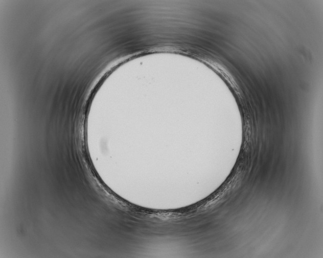 X0000111921000200909071213