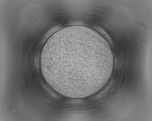 X0000111921002200909071213