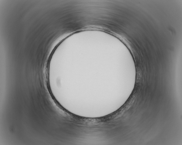 X0000111921003200909071213