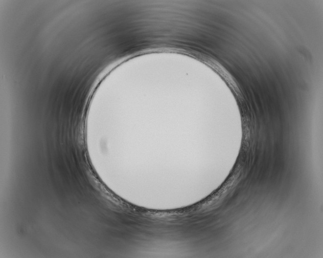 X0000111921004200909071213