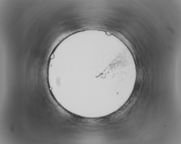 X0000111921005200909071213