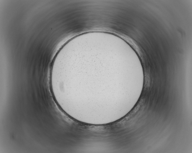 X0000111921006200909071213