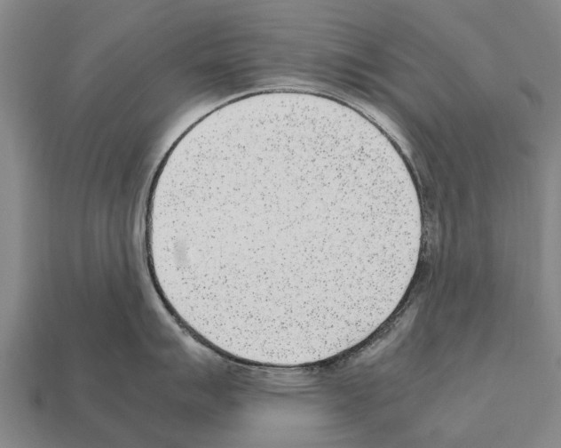 X0000111921007200909071213