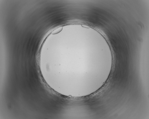 X0000111921008200909071213