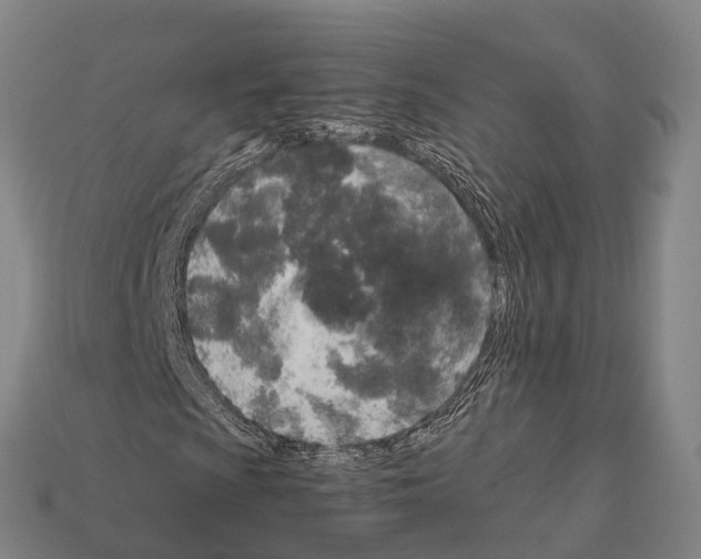 X0000111921009200909071212