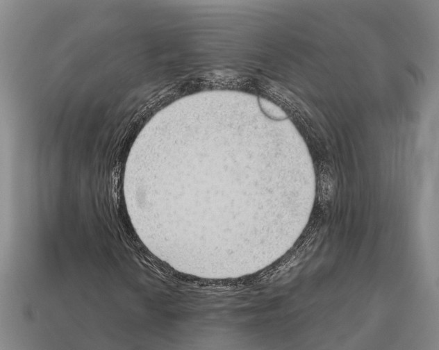 X0000111921010200909071212