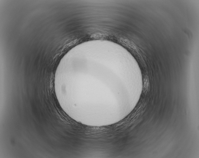 X0000111921012200909071213