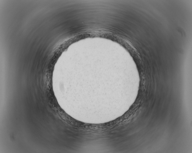 X0000111921016200909071213