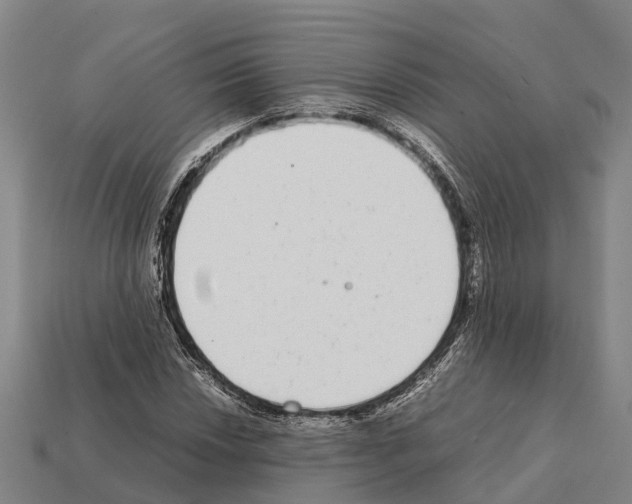 X0000111921018200909071213