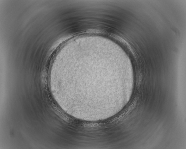 X0000111921019200909071213