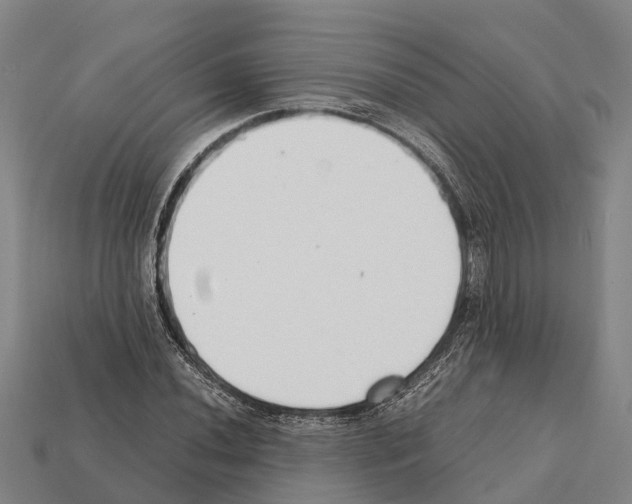 X0000111921020200909071213