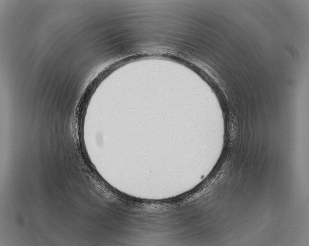 X0000111921022200909071213