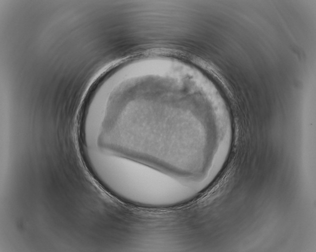 X0000111921024200909071213