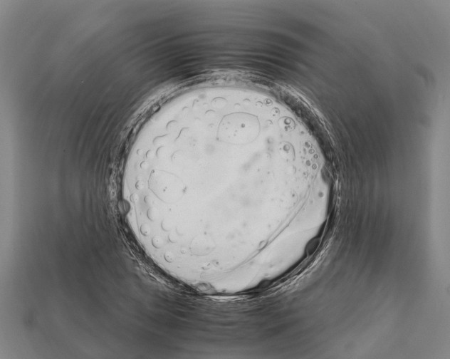 X0000111921025200909071213