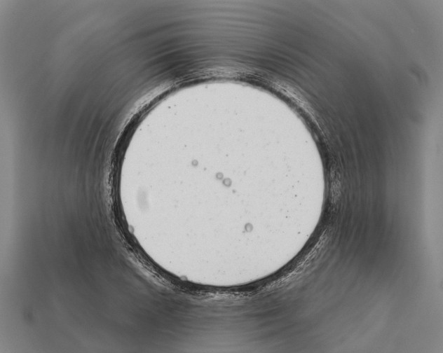 X0000111921026200909071213