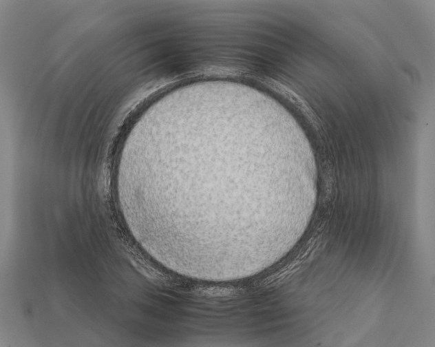 X0000111921027200909071213