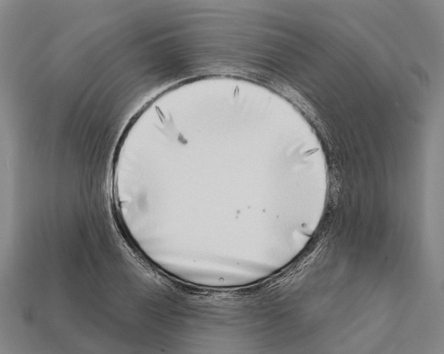 X0000111921028200909071213