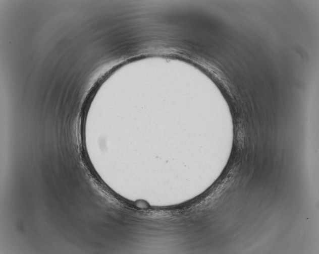 X0000111921030200909071213