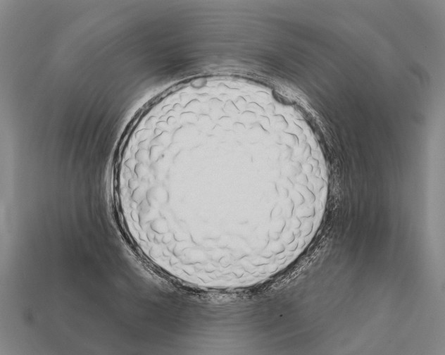 X0000111921032200909071213