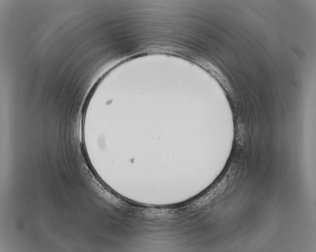 X0000111921036200909071213