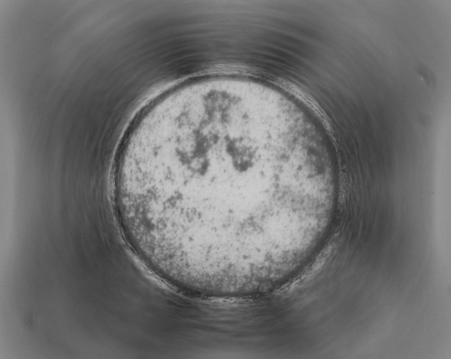 X0000111921037200909071213