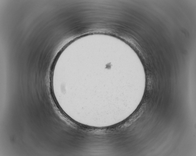 X0000111921038200909071213