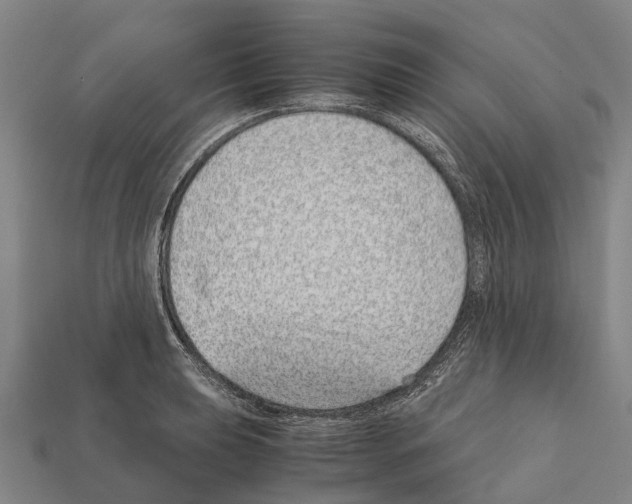 X0000111921039200909071213