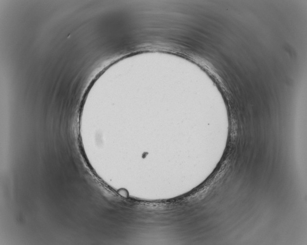 X0000111921040200909071213