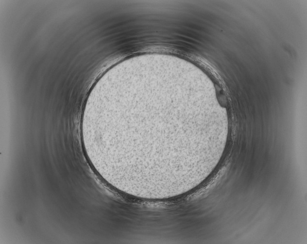 X0000111921041200909071213