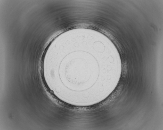 X0000111921042200909071213