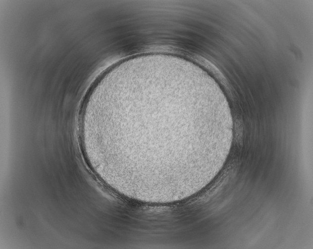 X0000111921043200909071213