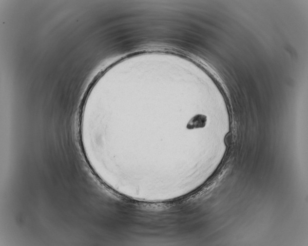 X0000111921045200909071213