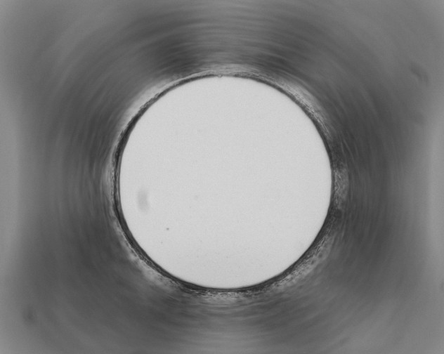 X0000111921046200909071213