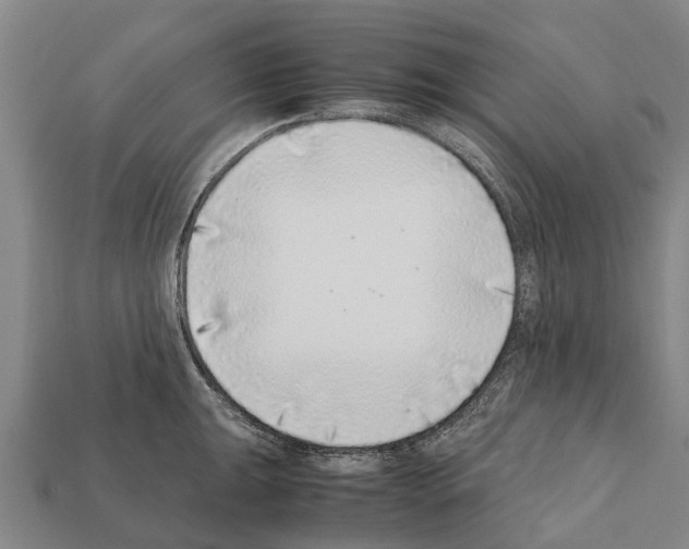 X0000111921047200909071213