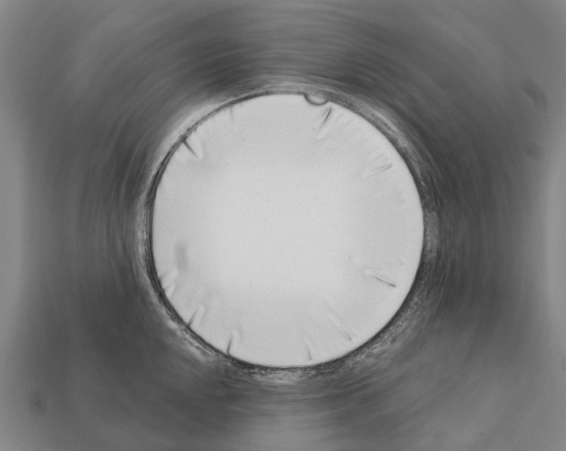 X0000111921048200909071213