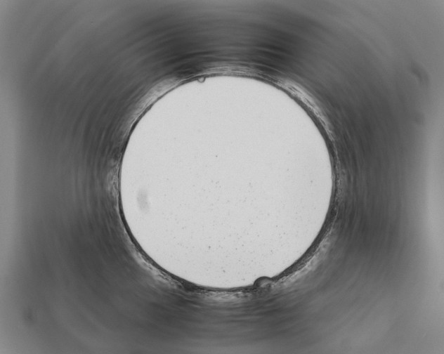 X0000111921049200909071213