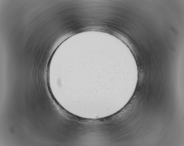 X0000111921050200909071213