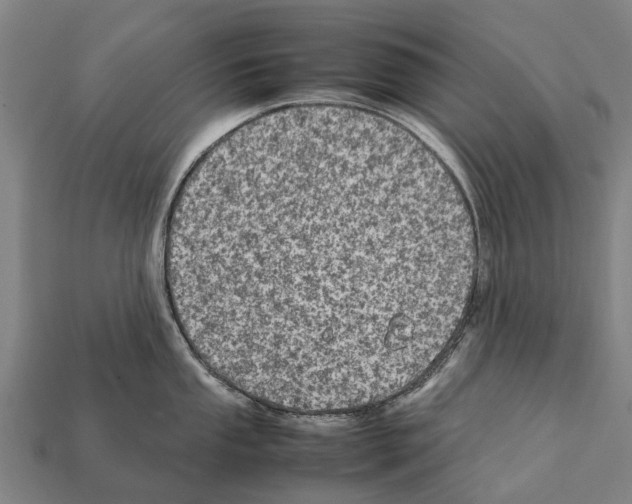 X0000111921053200909071213