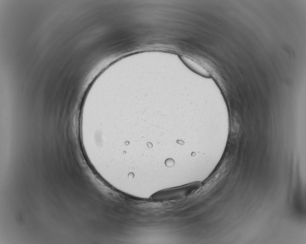 X0000111921054200909071213