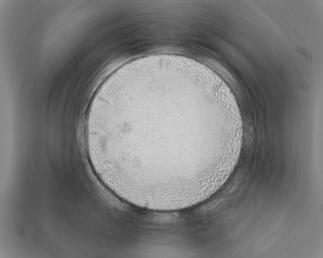 X0000111921055200909071213