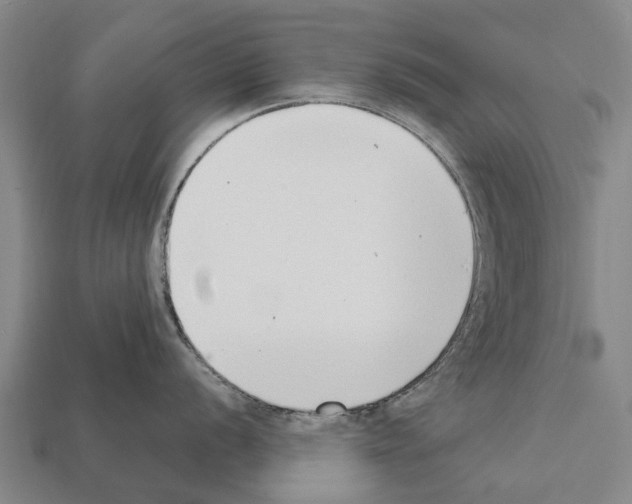 X0000111921056200909071213