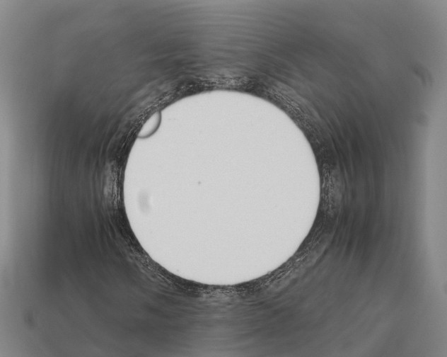 X0000111921058200909071212