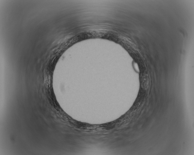 X0000111921061200909071212