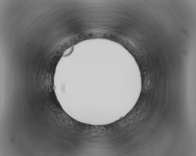 X0000111921062200909071212