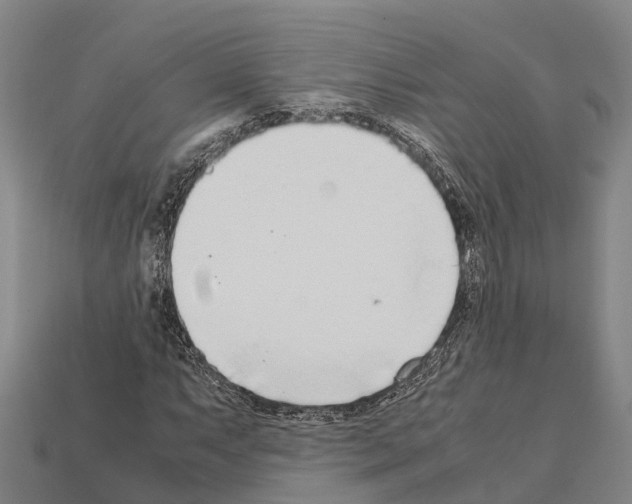 X0000111921063200909071212