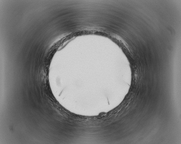 X0000111921064200909071212