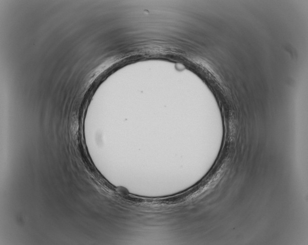 X0000111921065200909071212