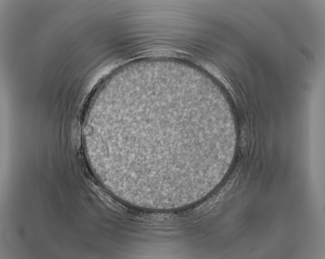 X0000111921067200909071212