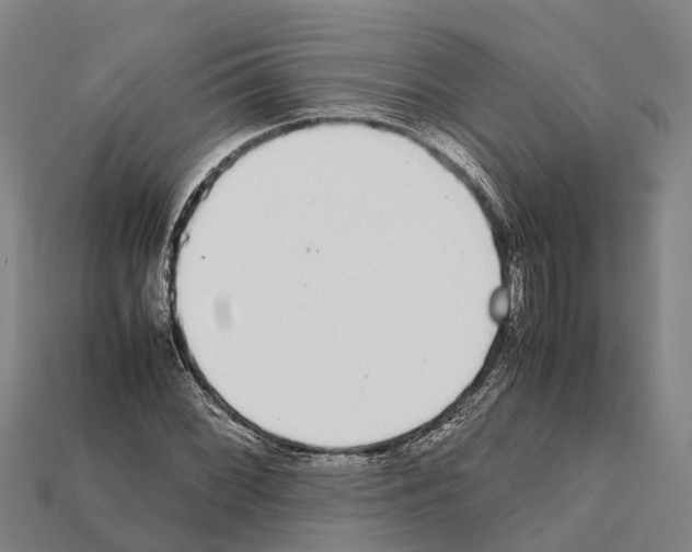 X0000111921068200909071212